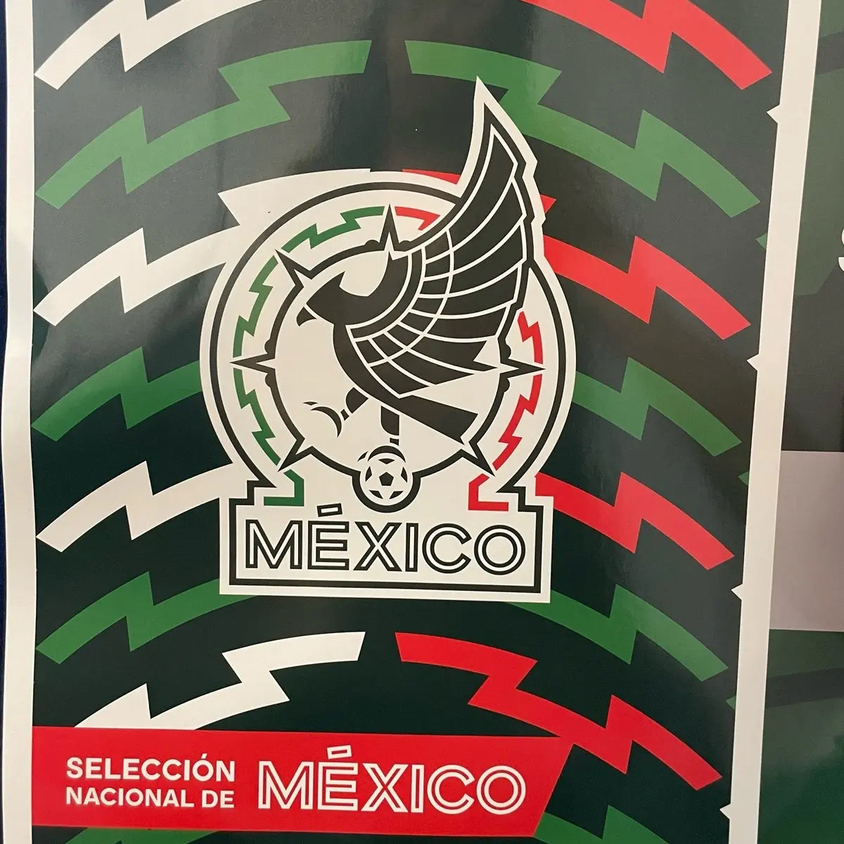 Seleccion Mexicana
